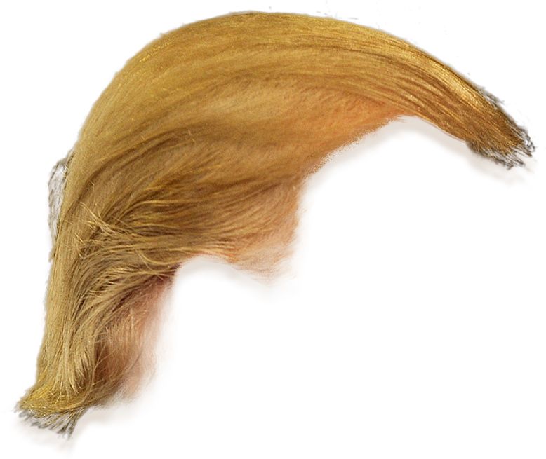Zum Artikel "Demokratische Haaransätze. Zur politischen Ikonographie von Haaren – Marie Antoinette bis Donald Trump"